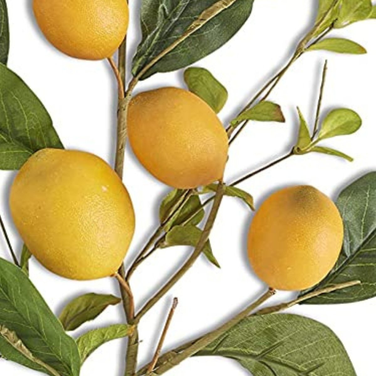 Shop For 28" Lemon and Foliage Stem