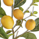Shop For 28" Lemon and Foliage Stem