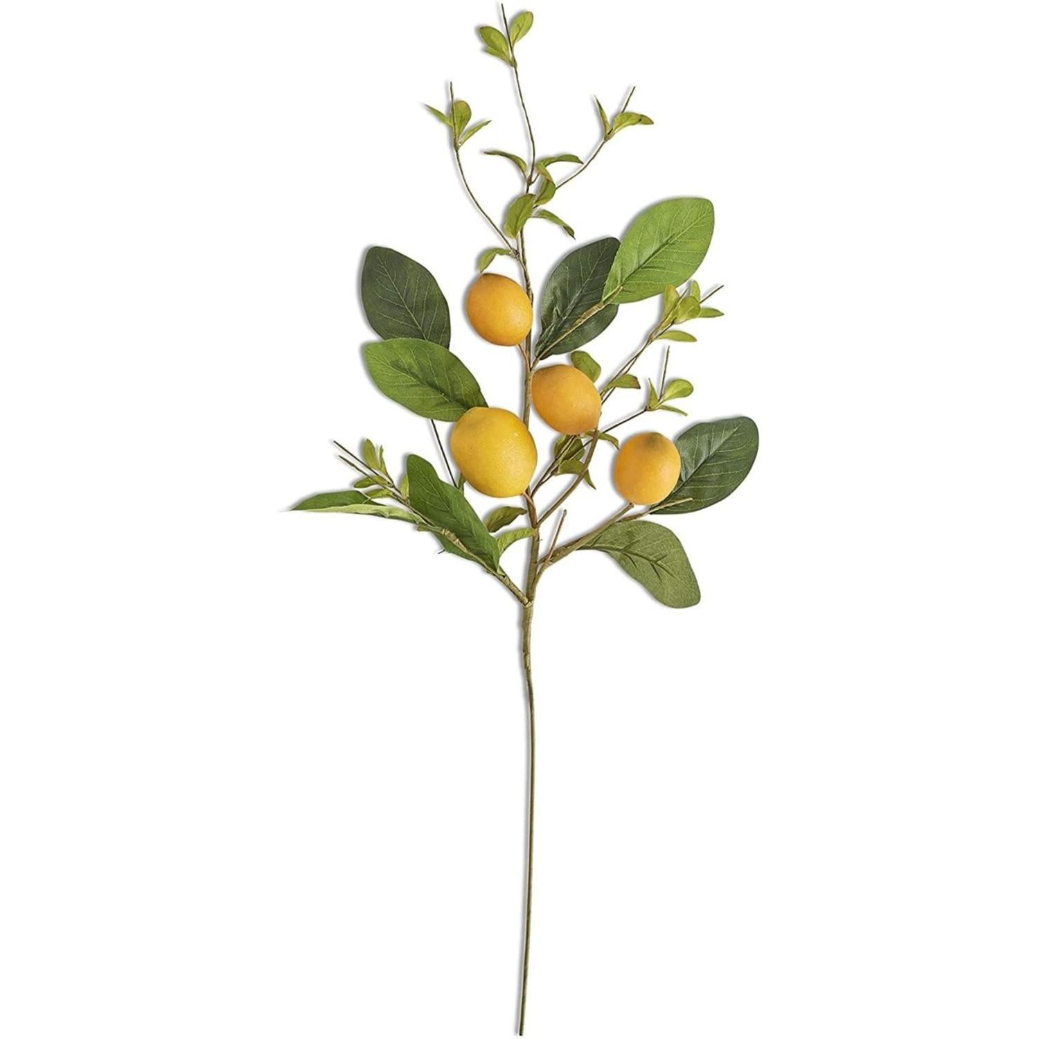 Shop For 28" Lemon and Foliage Stem