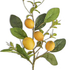 Shop For 28" Lemon and Foliage Stem