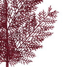 Shop For 29" Glitter Fern Spray: Burgundy