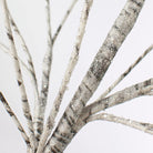 Shop For 30" Birch Spray
