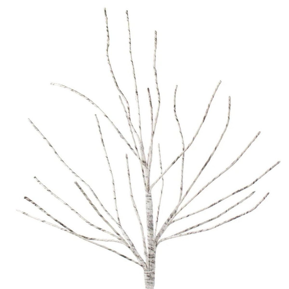 Shop For 30" Birch Spray