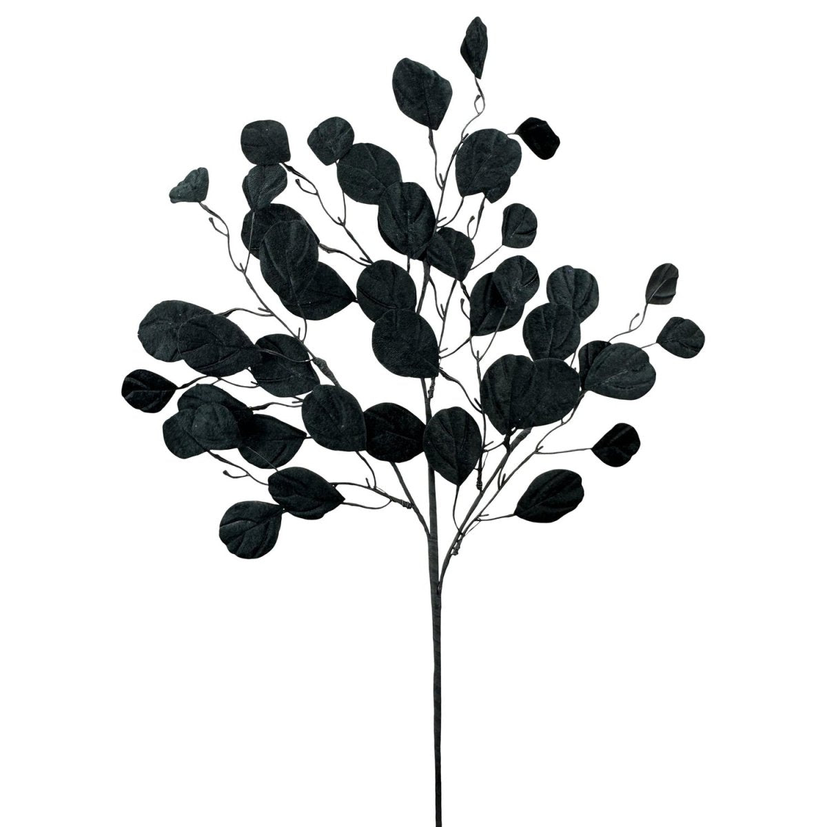 Shop For 30" Eucalyptus Spray: Black