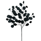 Shop For 30" Eucalyptus Spray: Black