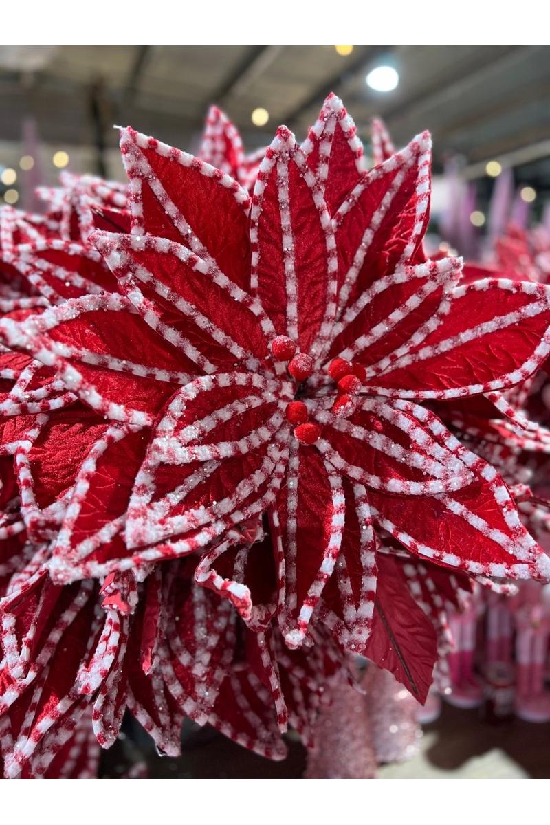 Shop For 30” Giant Candy Snow Glitter Poinsettia Stem: Red/White