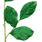 Shop For 30" Velvet Magnolia Leaves: Green