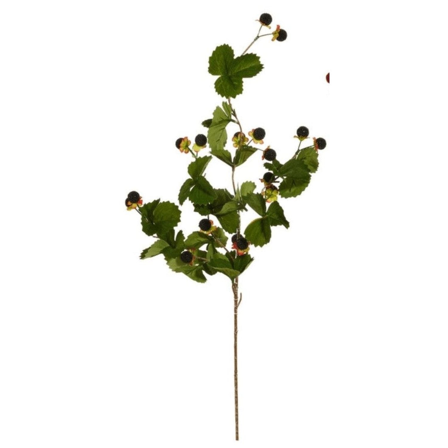 Shop For 32" Berry Spray