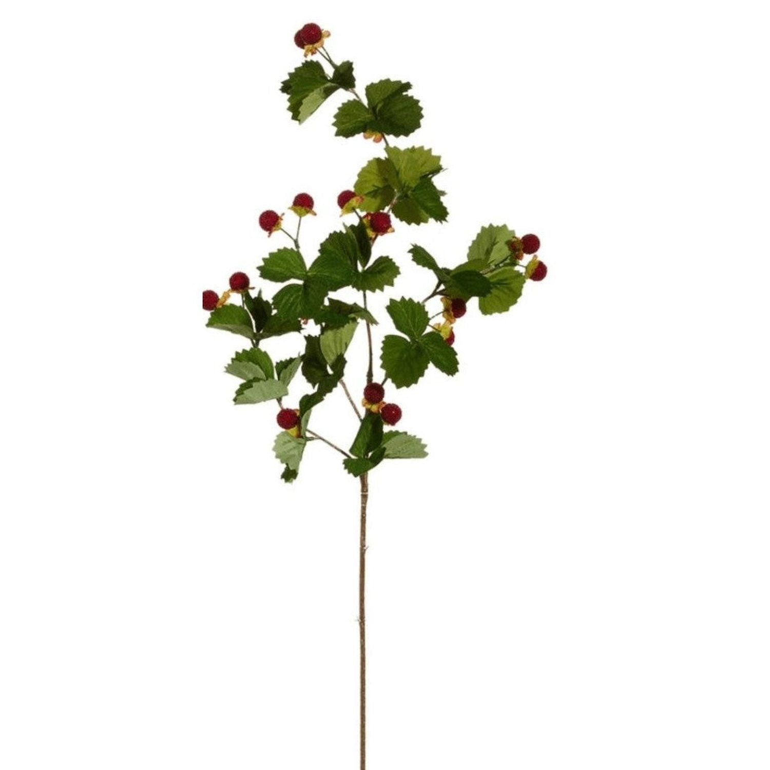 Shop For 32" Berry Spray