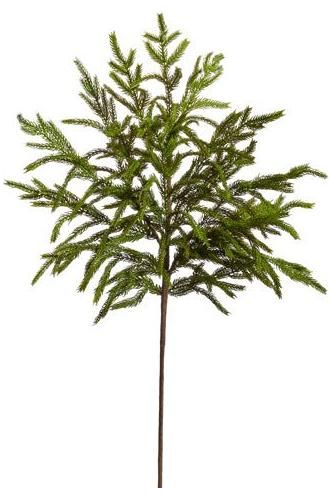 Shop For 33" Norfolk Pine Spray