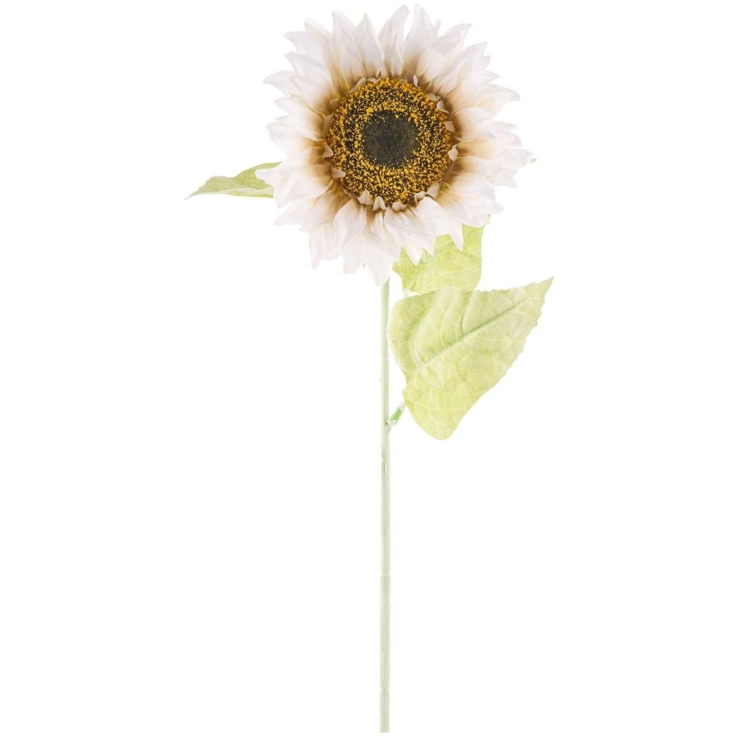 33" Sunflower Stem: Ivory