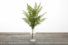 Shop For 33.5" Fern Spray
