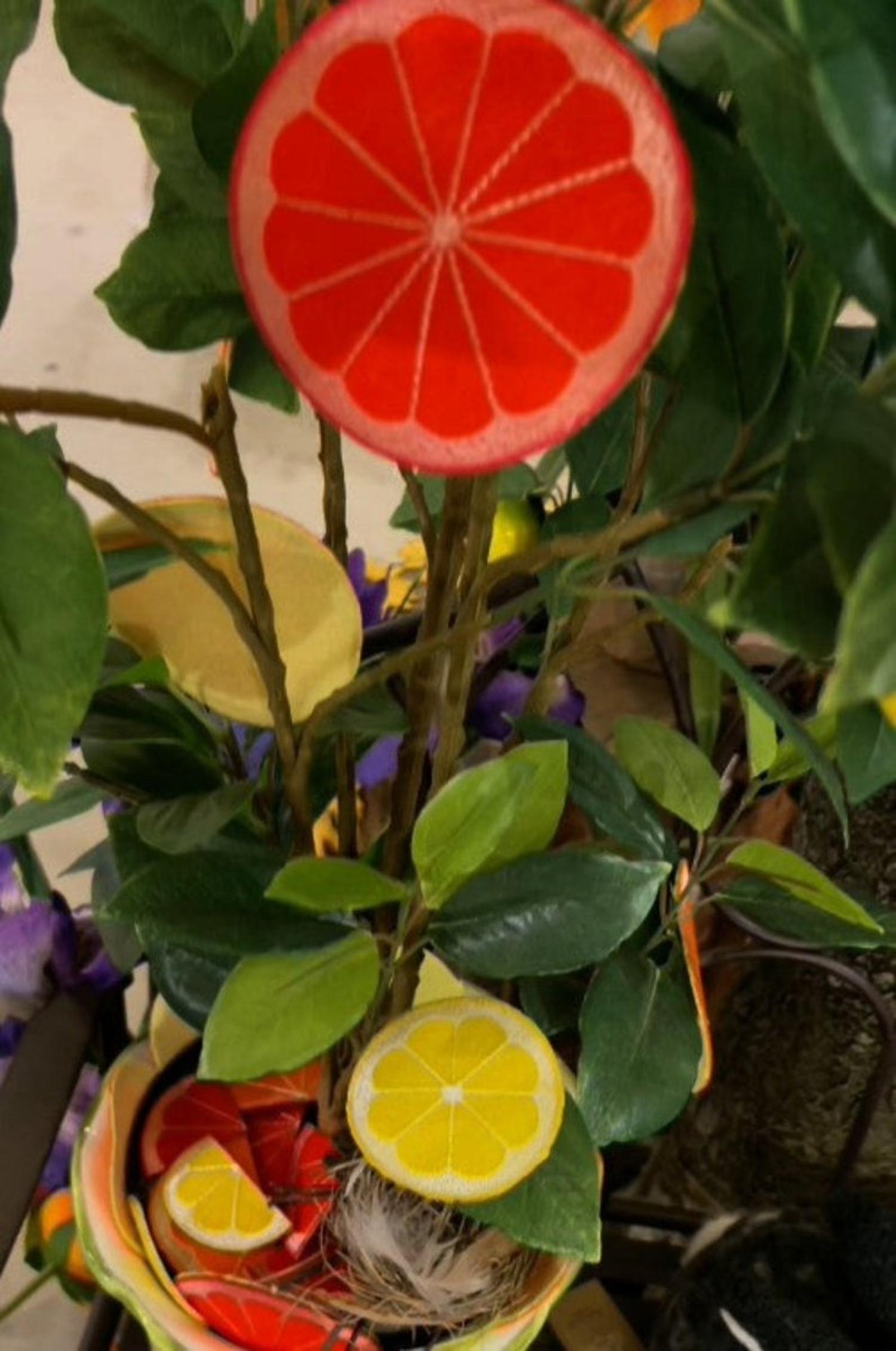 3.5in Felt Citrus Fruit Garland (5 Yards)