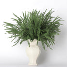 Shop For 36" Norfolk Pine Branch