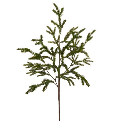 Shop For 36" Norfolk Pine Branch