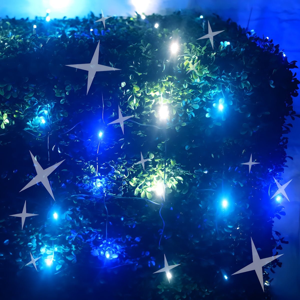 Shop For 4' x 6' Arctic 5mm LED Smooth Fade DreamSpark Net Lights