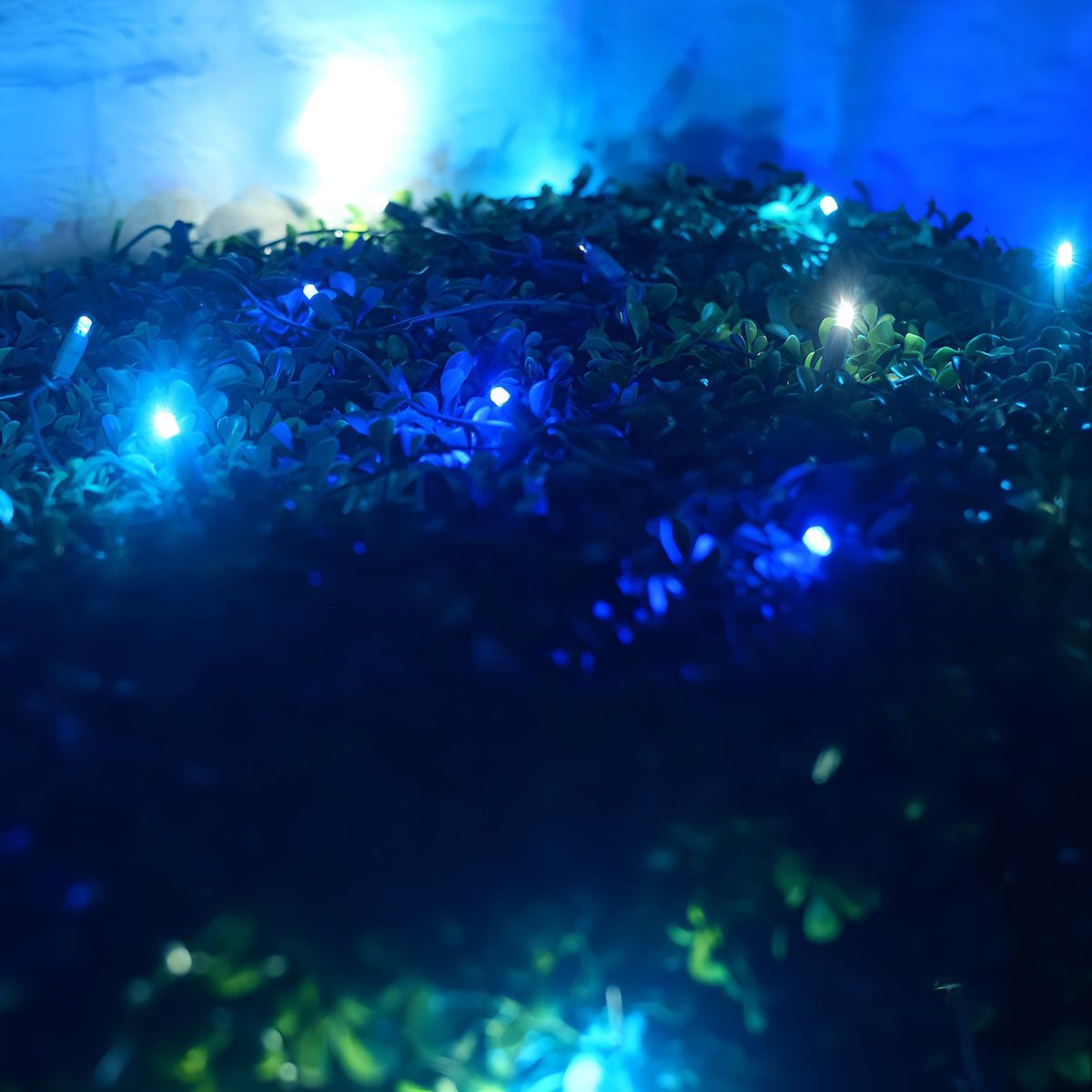Shop For 4' x 6' Arctic 5mm LED Smooth Fade DreamSpark Net Lights