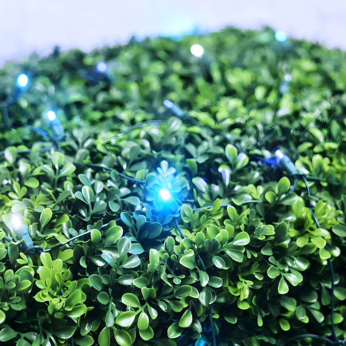 Shop For 4' x 6' Arctic 5mm LED Smooth Fade DreamSpark Net Lights
