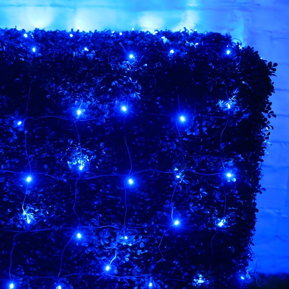 Shop For 4' x 6' Blue 5mm LED Christmas Net Lights