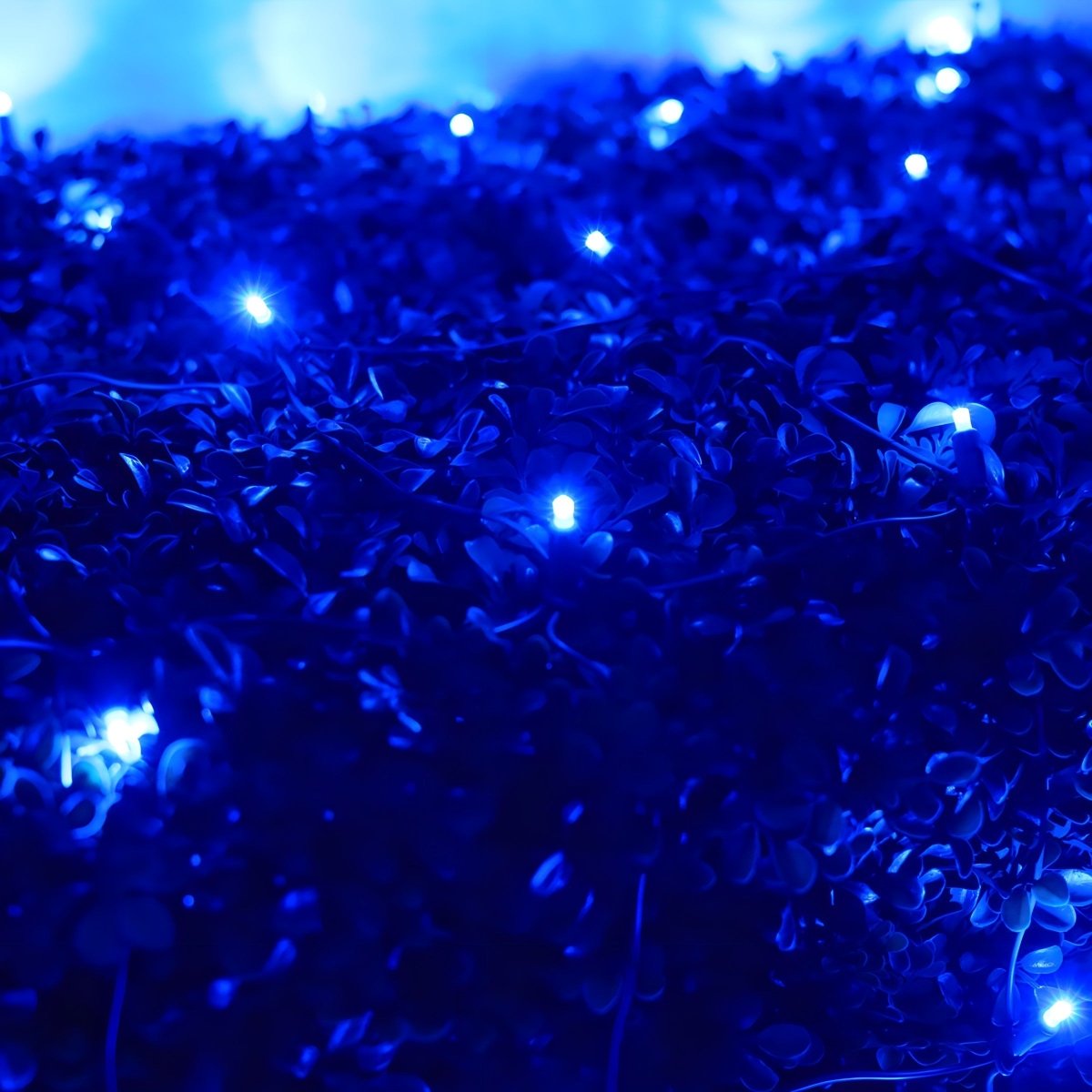 Shop For 4' x 6' Blue 5mm LED Smooth Fade DreamSpark Net Lights