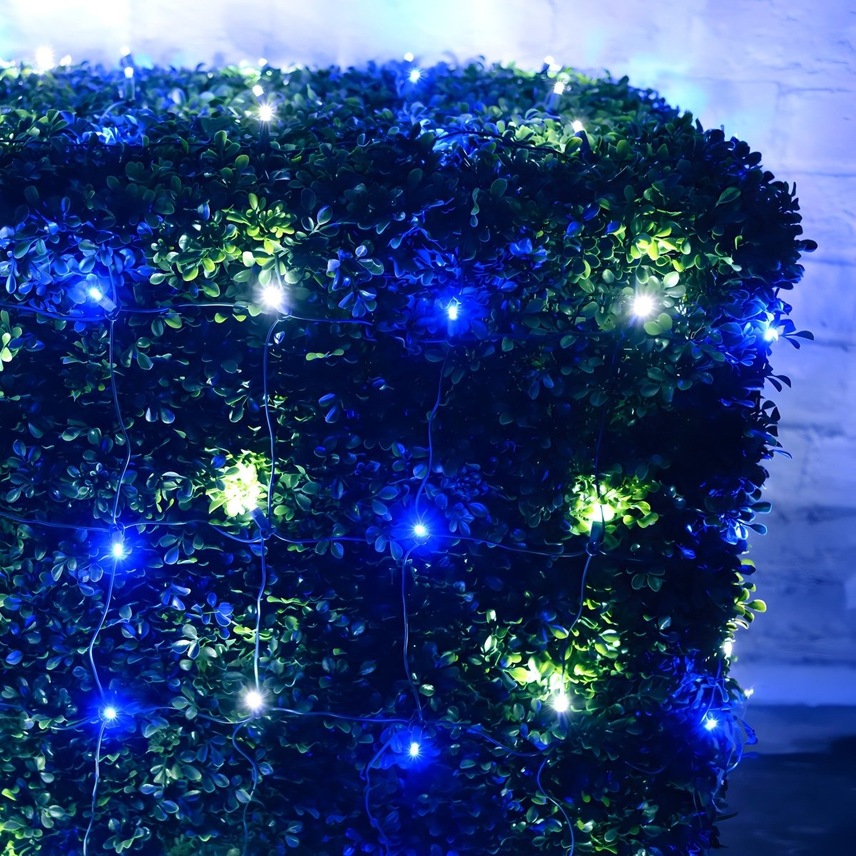 Shop For 4' x 6' Blue and Cool White 5mm LED Christmas Net Lights