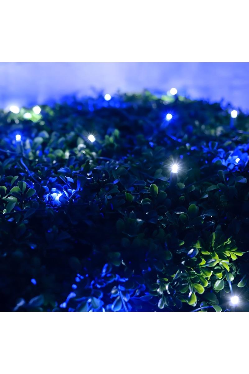 Shop For 4' x 6' Blue and Cool White 5mm LED Christmas Net Lights