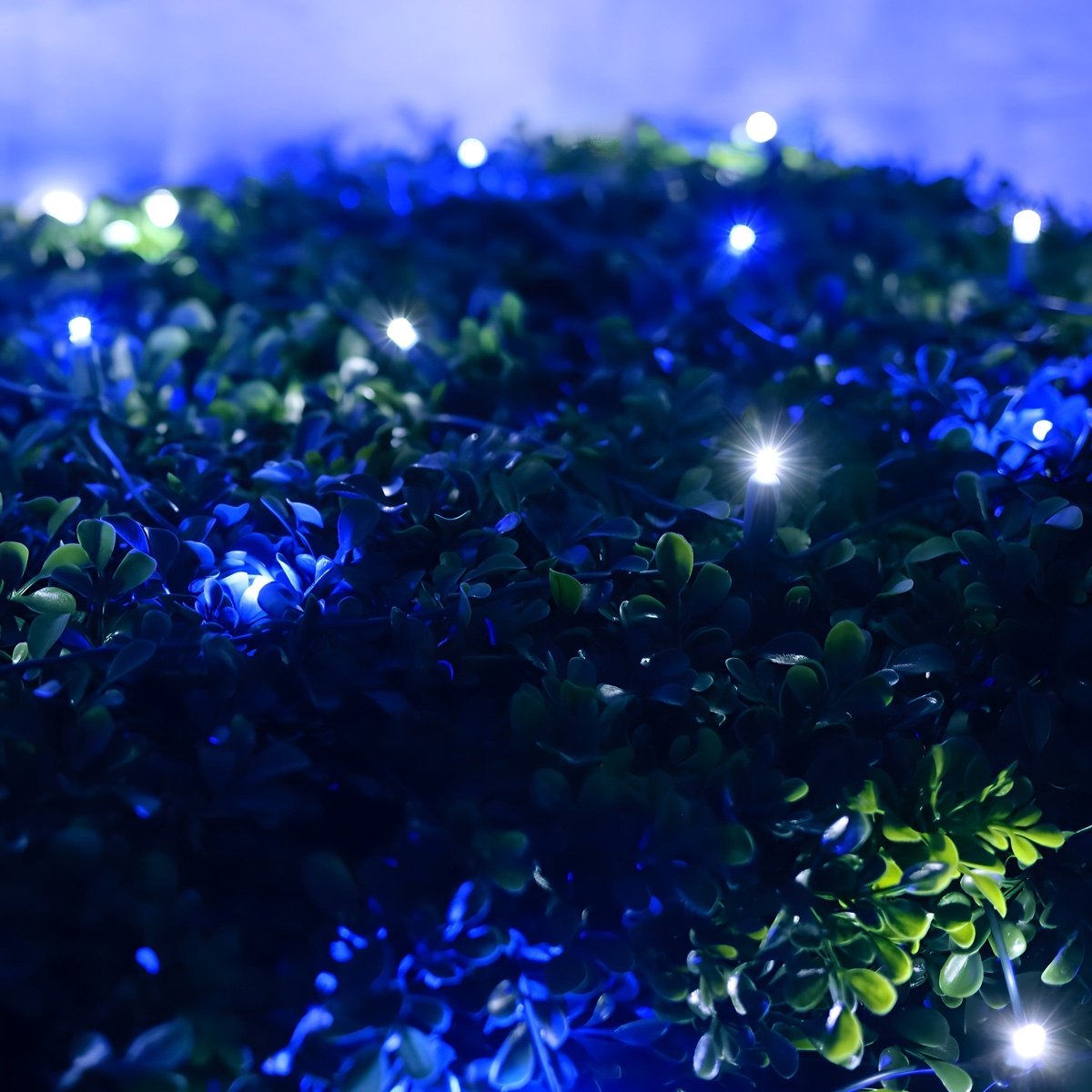 Shop For 4' x 6' Blue and Cool White 5mm LED Smooth Fade DreamSpark Net Lights