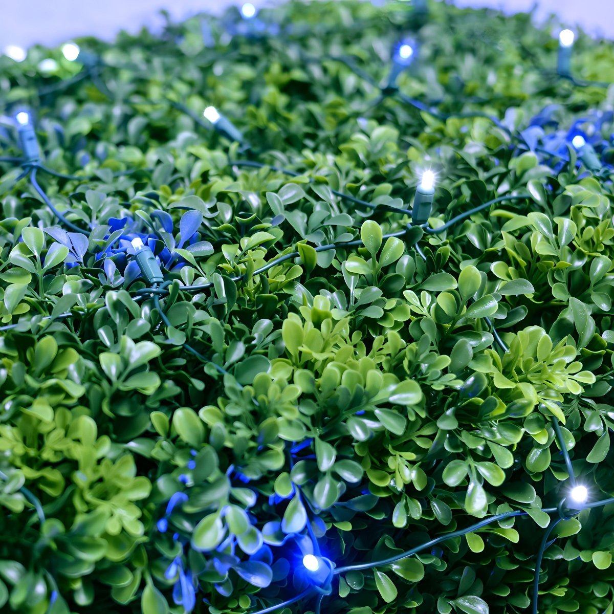 Shop For 4' x 6' Blue and Cool White 5mm LED Smooth Fade DreamSpark Net Lights