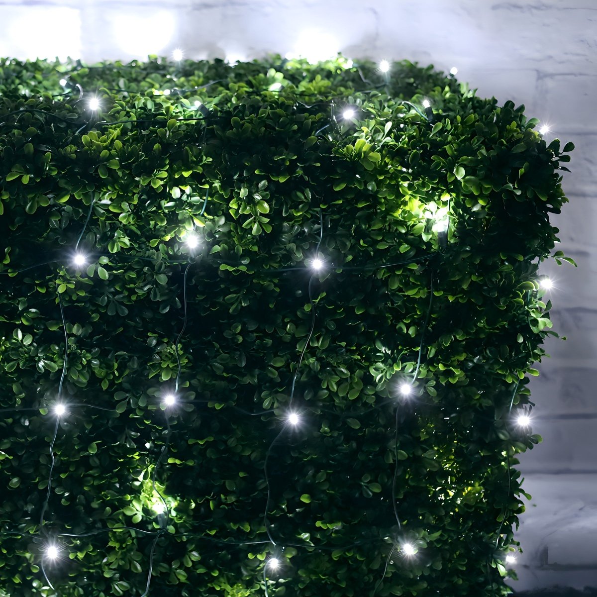 Shop For 4' x 6' Cool White 5mm LED Christmas Net Lights
