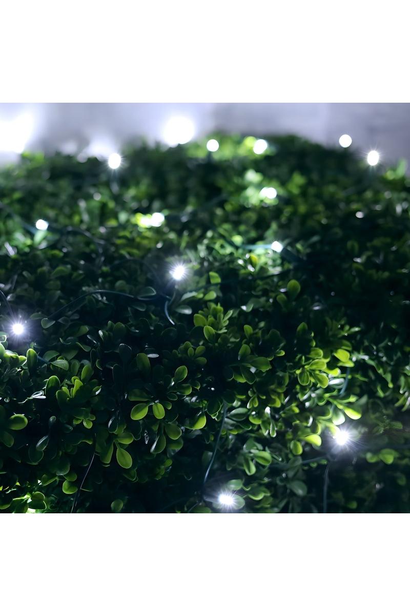 Shop For 4' x 6' Cool White 5mm LED Christmas Net Lights, TWINKLE