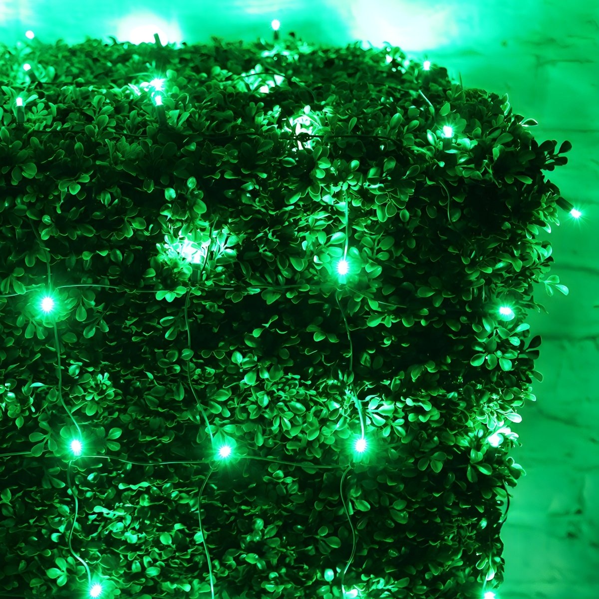 Shop For 4' x 6' Green 5mm LED Christmas Net Lights