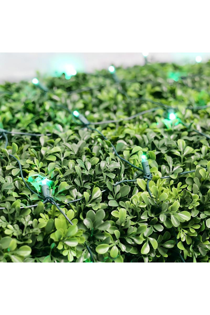 Shop For 4' x 6' Green 5mm LED Christmas Net Lights