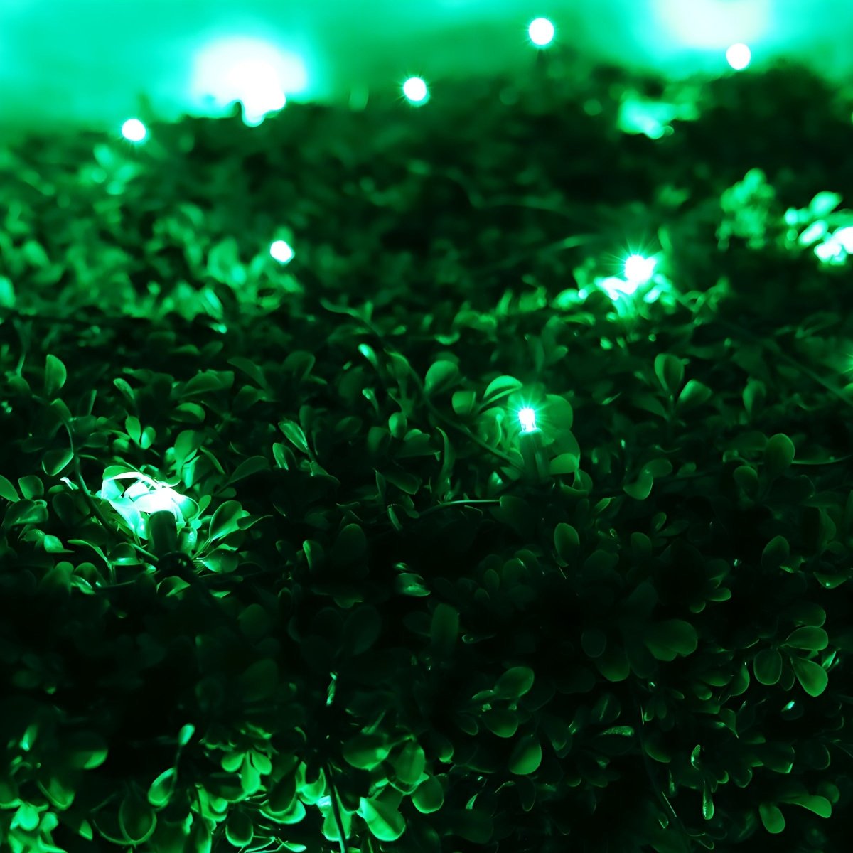 Shop For 4' x 6' Green 5mm LED Smooth Fade DreamSpark Net Lights