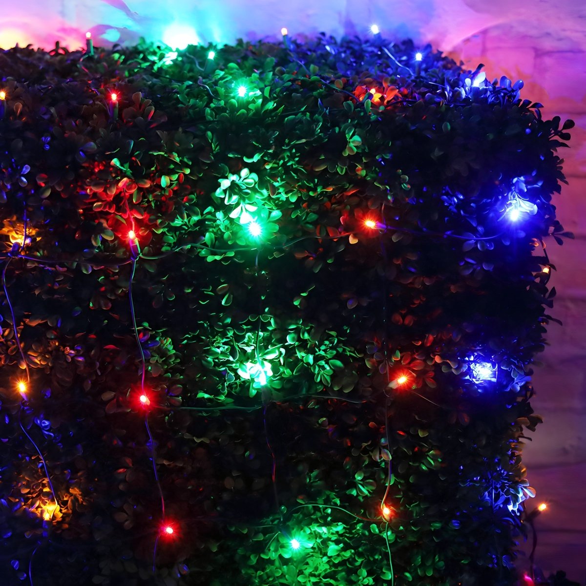 Shop For 4' x 6' Multicolor 5mm LED Christmas Net Lights