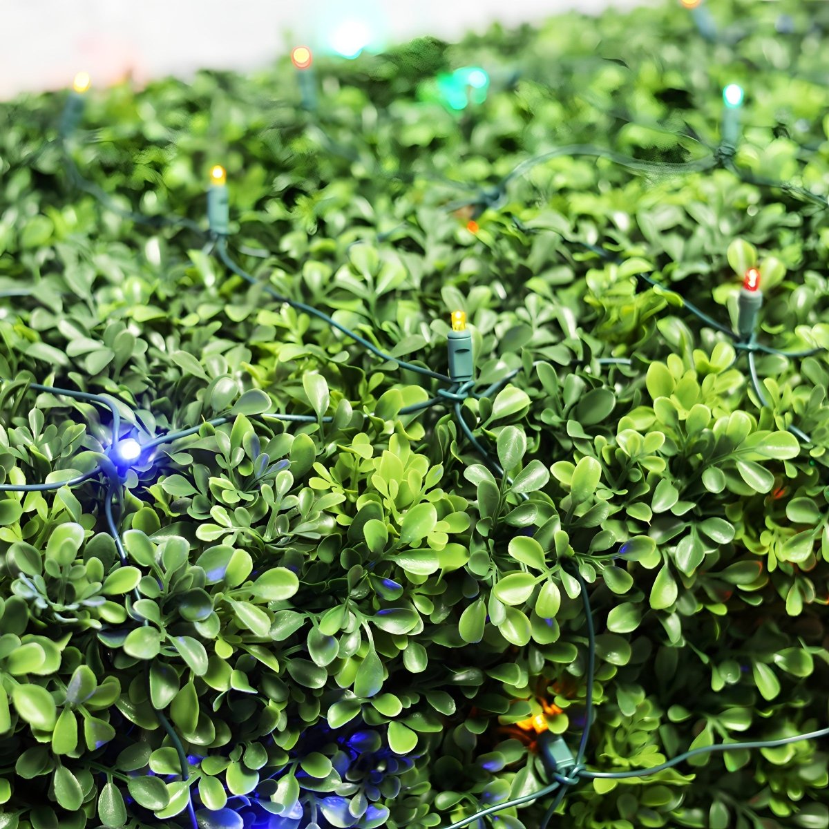 Shop For 4' x 6' Multicolor 5mm LED Smooth Fade DreamSpark Net Lights