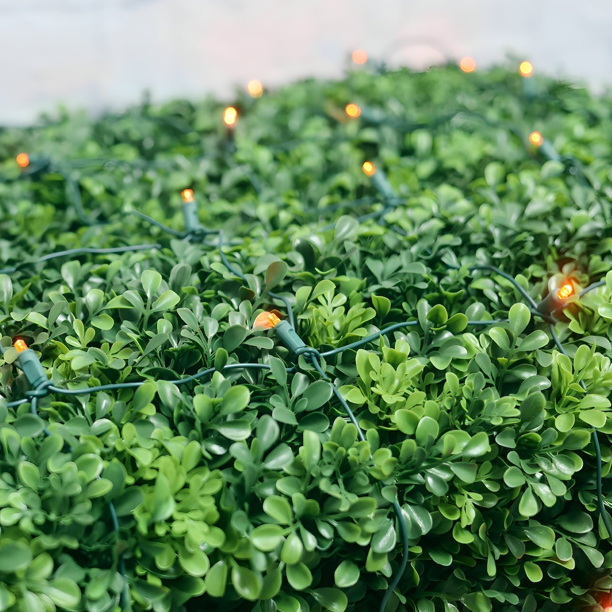 Shop For 4' x 6' Orange 5mm LED Christmas Net Lights