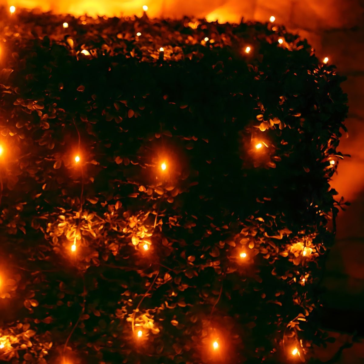 Shop For 4' x 6' Orange 5mm LED Christmas Net Lights