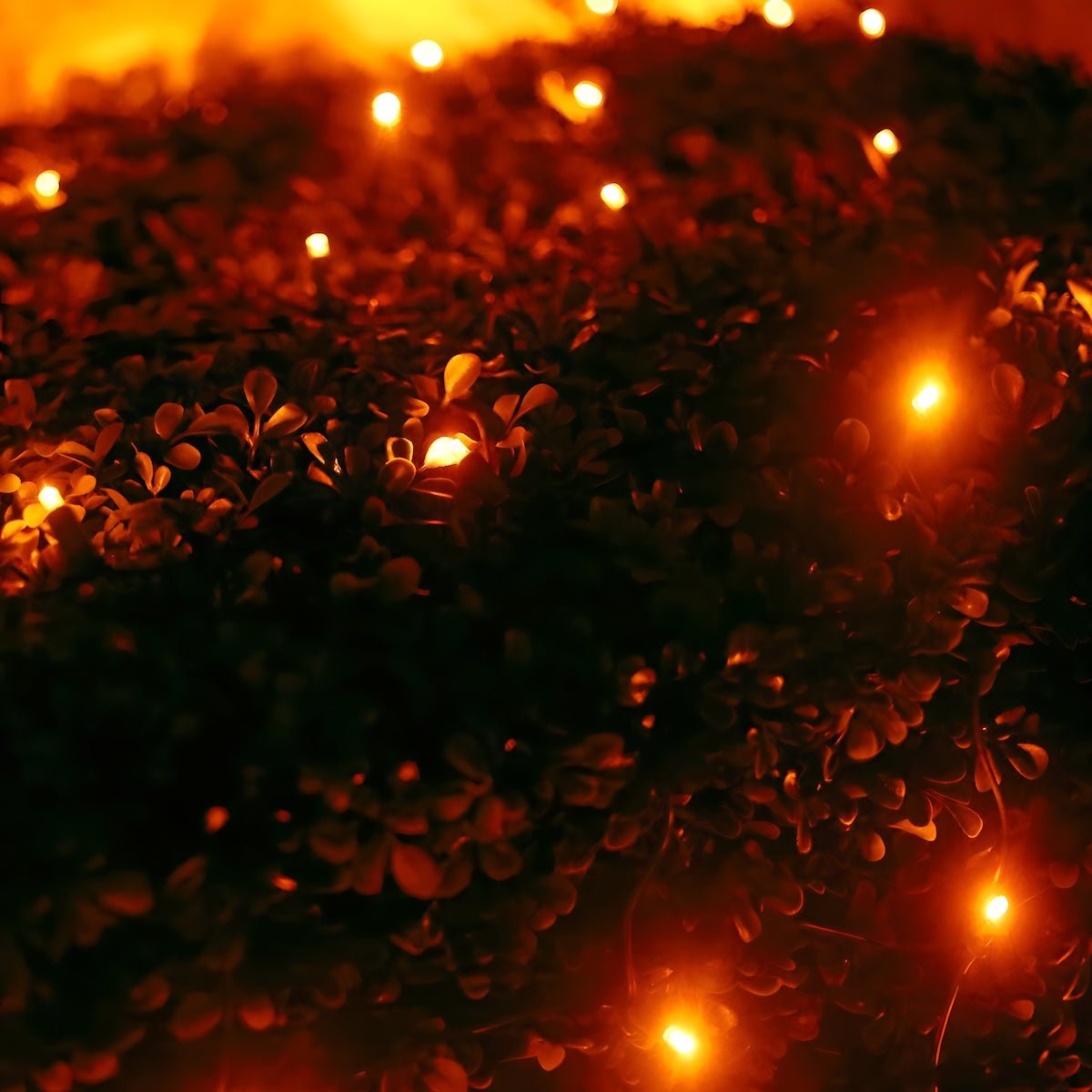 Shop For 4' x 6' Orange 5mm LED Smooth Fade DreamSpark Net Lights