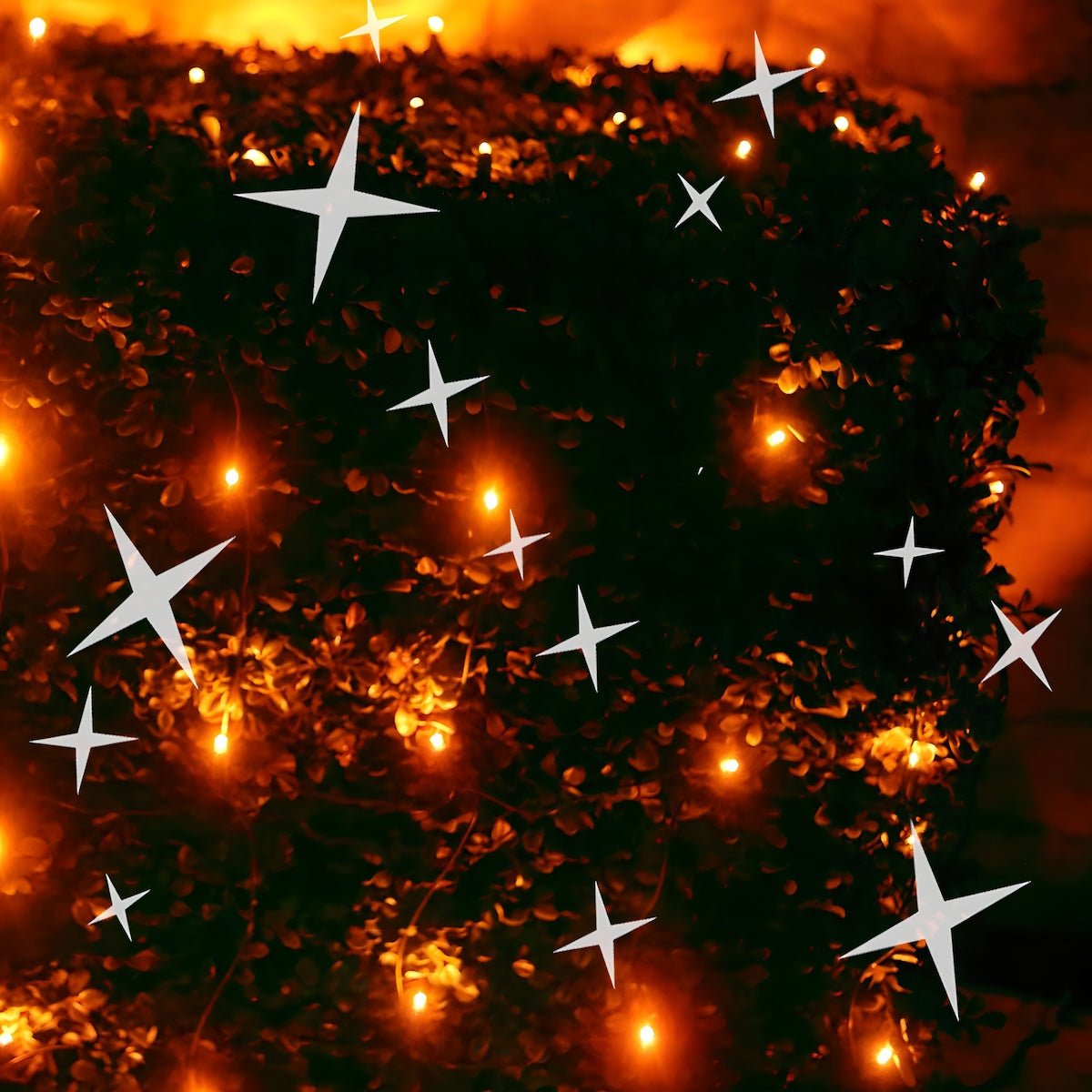 Shop For 4' x 6' Orange 5mm LED Smooth Fade DreamSpark Net Lights