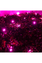 Shop For 4' x 6' Pink 5mm LED Christmas Net Lights