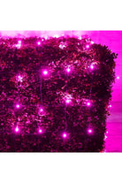 Shop For 4' x 6' Pink 5mm LED Christmas Net Lights