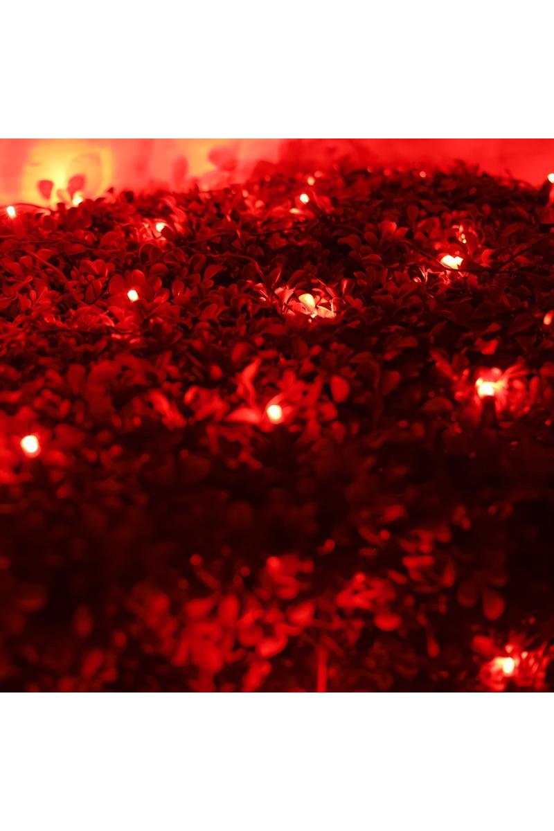 Shop For 4' x 6' Red 5mm LED Christmas Net Lights