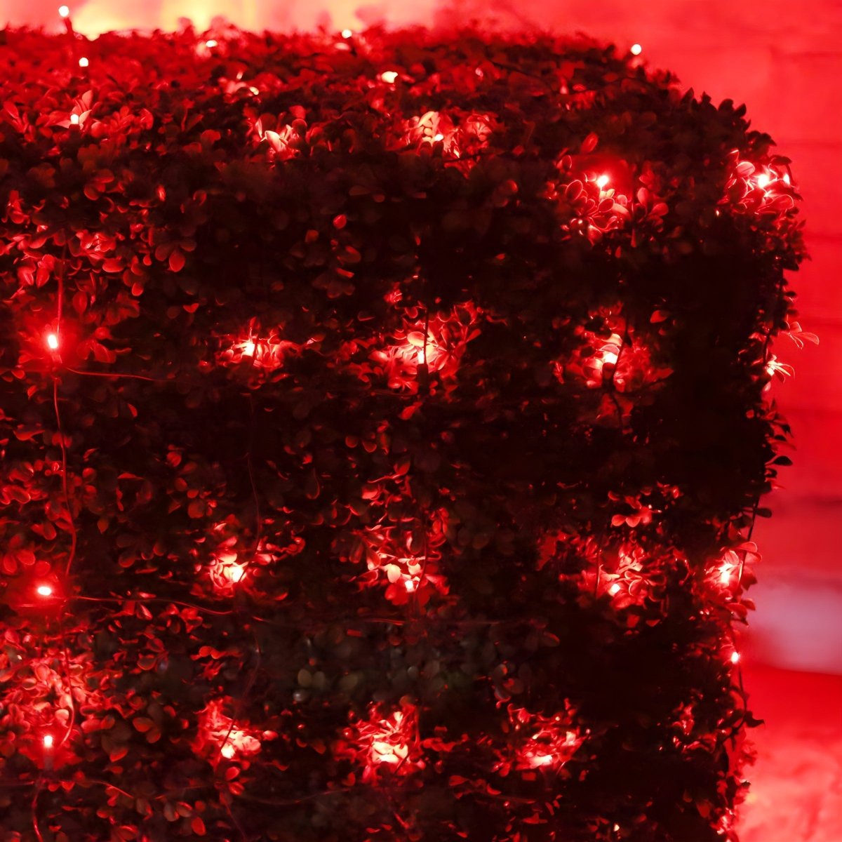 Shop For 4' x 6' Red 5mm LED Christmas Net Lights