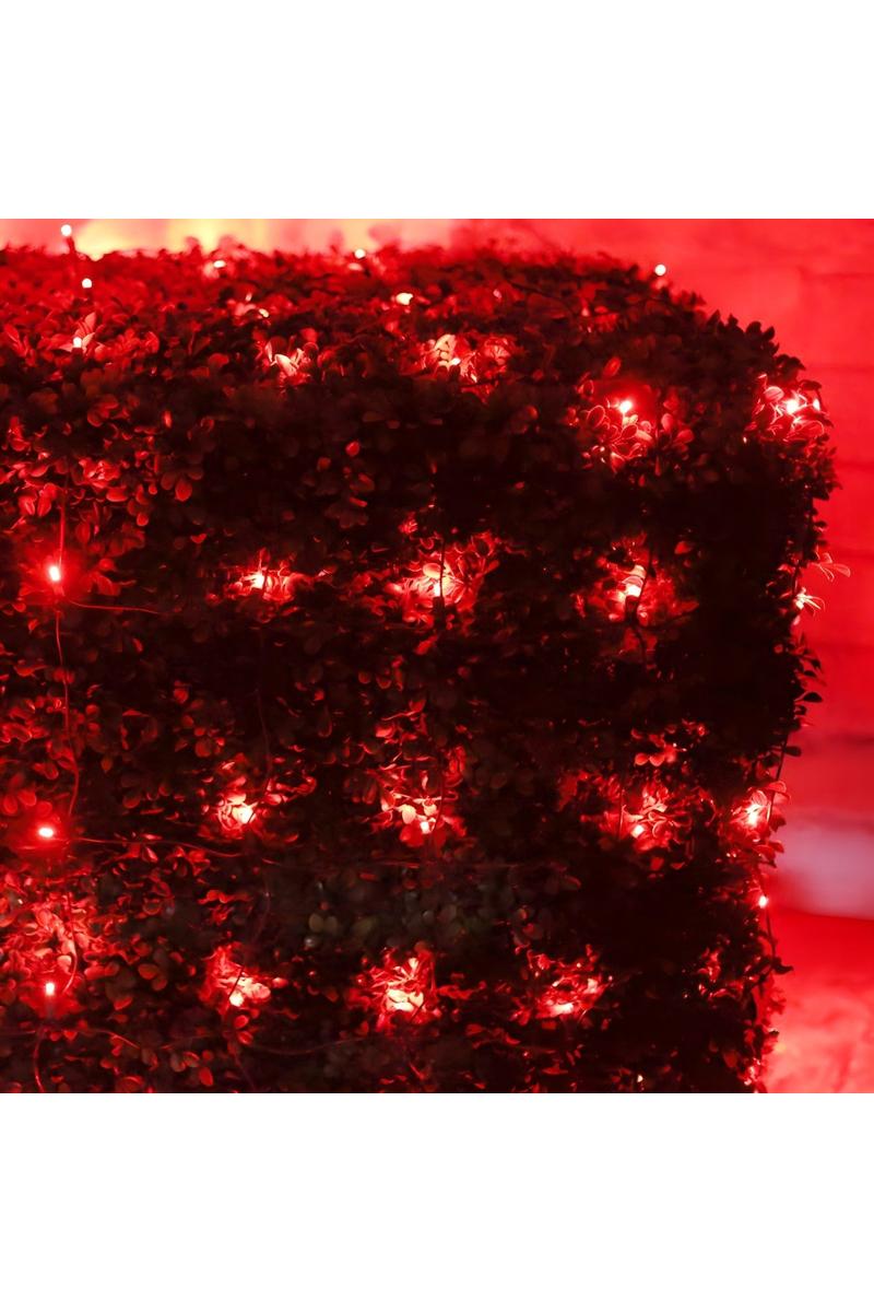 Shop For 4' x 6' Red 5mm LED Christmas Net Lights