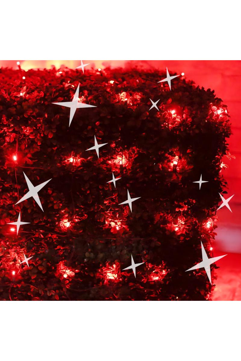 Shop For 4' x 6' Red 5mm LED Smooth Fade DreamSpark Net Lights