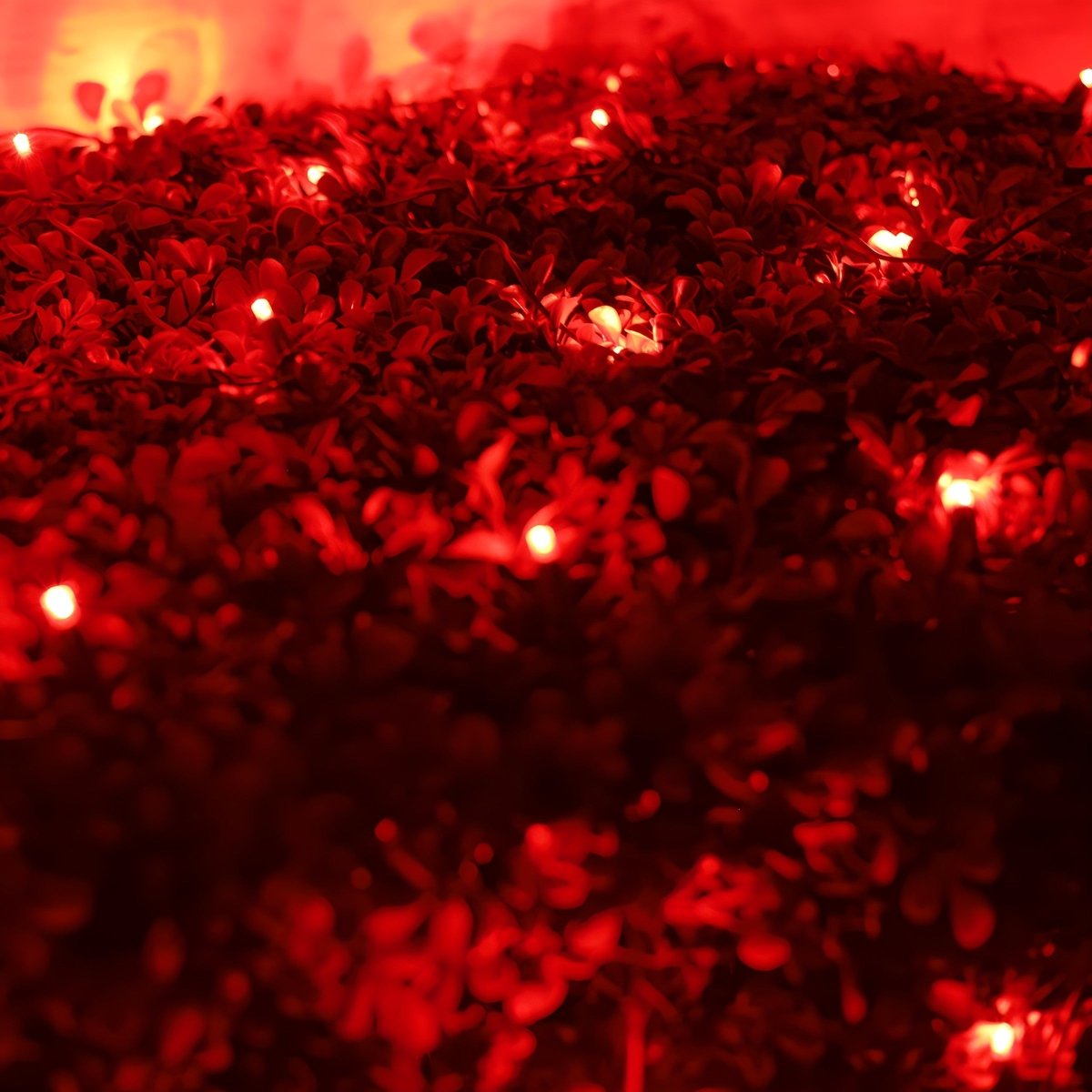Shop For 4' x 6' Red 5mm LED Smooth Fade DreamSpark Net Lights