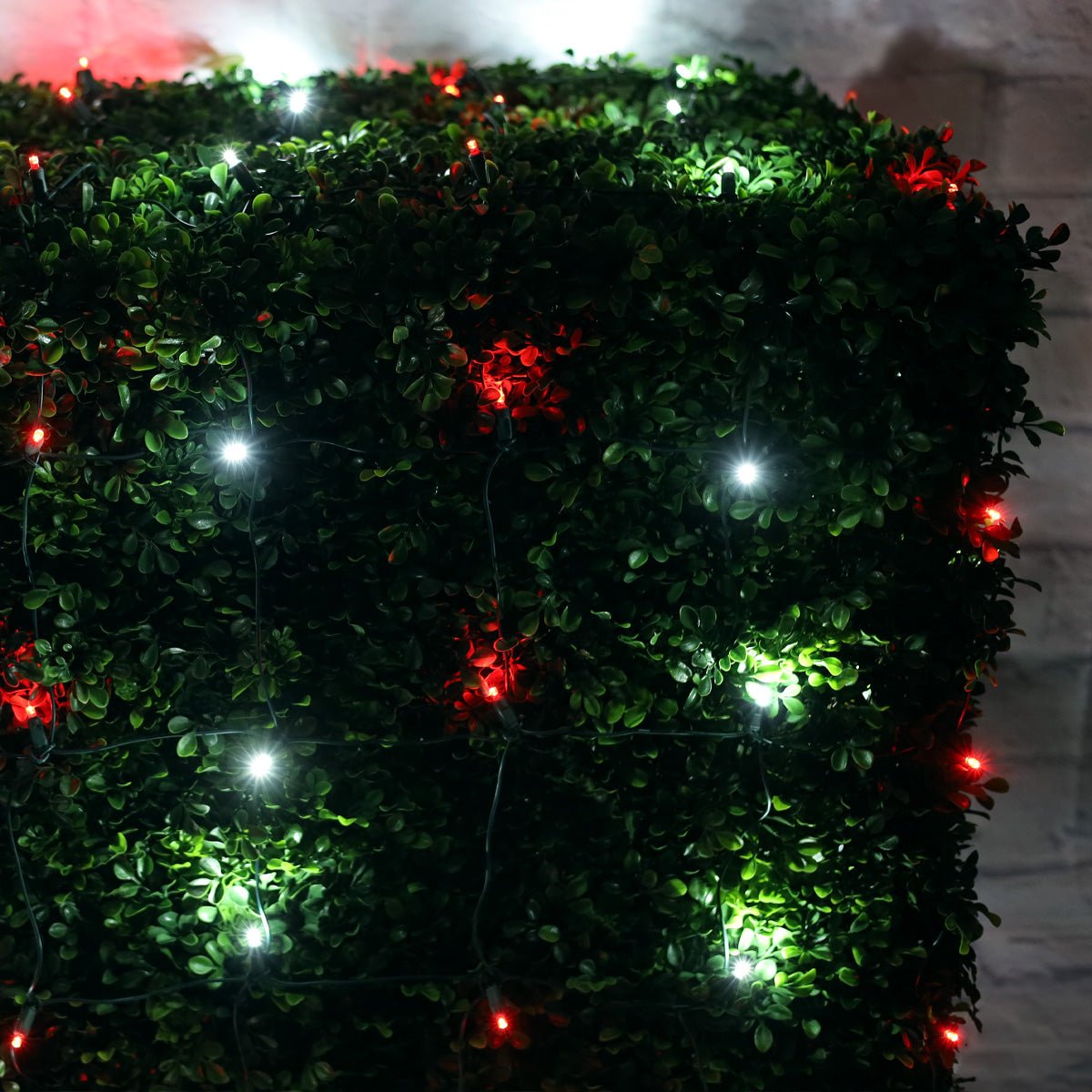 Shop For 4' x 6' Red and Cool White 5mm LED Christmas Net Lights