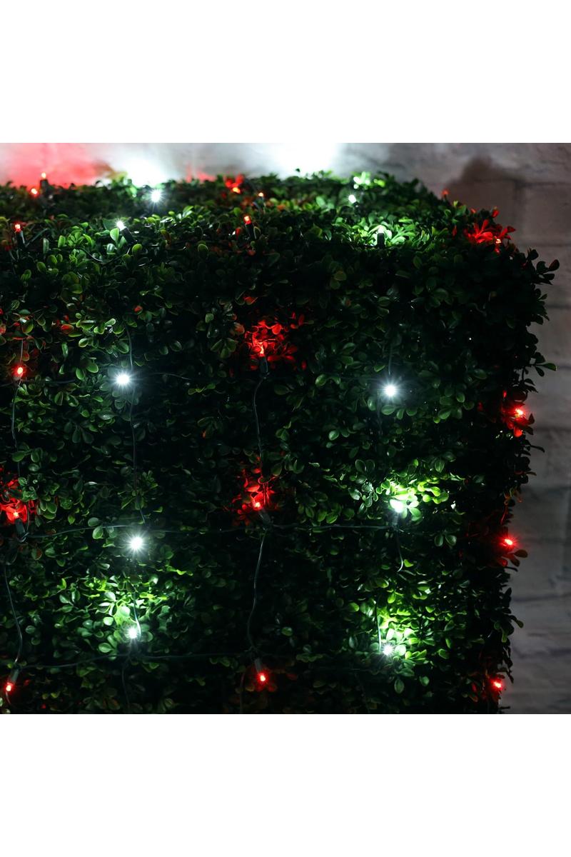 Shop For 4' x 6' Red and Cool White 5mm LED Christmas Net Lights