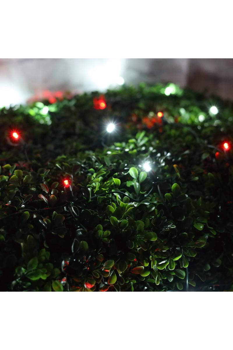 Shop For 4' x 6' Red and Cool White 5mm LED Christmas Net Lights