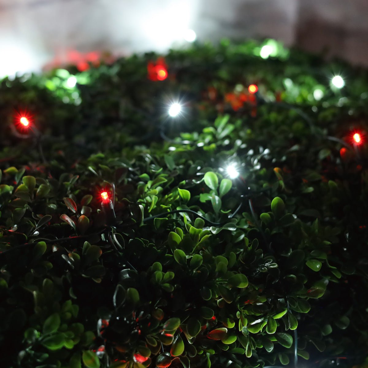 Shop For 4' x 6' Red and Cool White 5mm LED Smooth Fade DreamSpark Net Lights